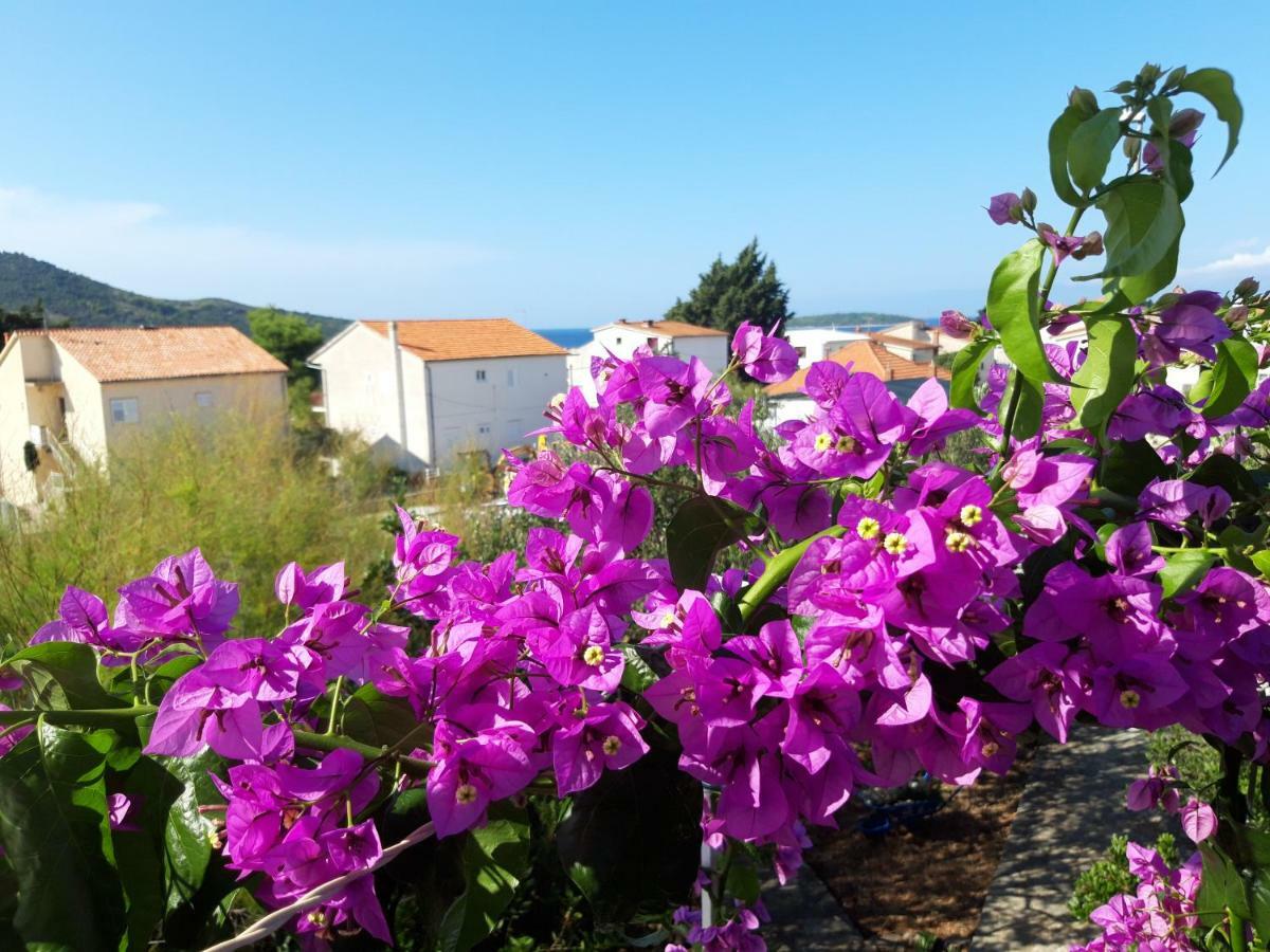 Apartman Dida Jakov Primošten Dış mekan fotoğraf